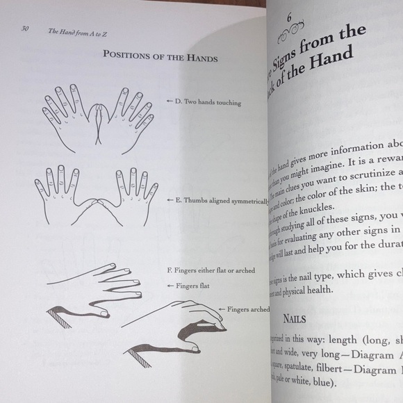 The Hand from A to Z: The Essentials of Palmistry Book - Judith Hipskind Collins - Picture 11 of 16